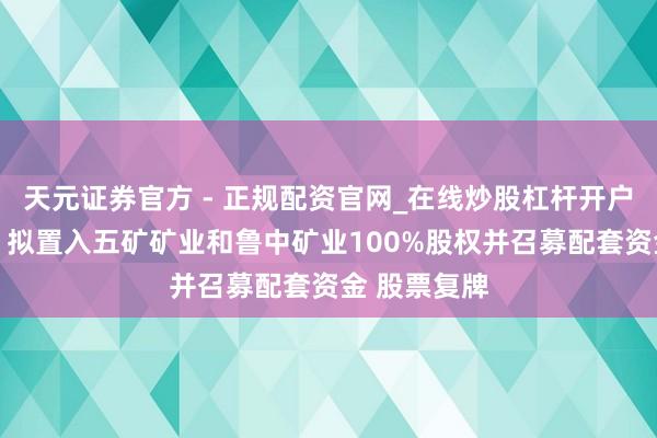 天元证券官方 - 正规配资官网_在线炒股杠杆开户 五矿发展：拟置入五矿矿业和鲁中矿业100%股权并召募配套资金 股票复牌